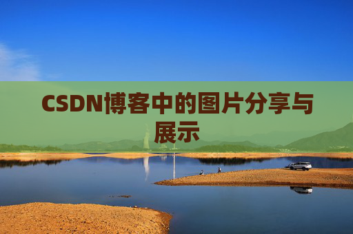 CSDN博客中的图片分享与展示